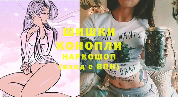 крисы Шали