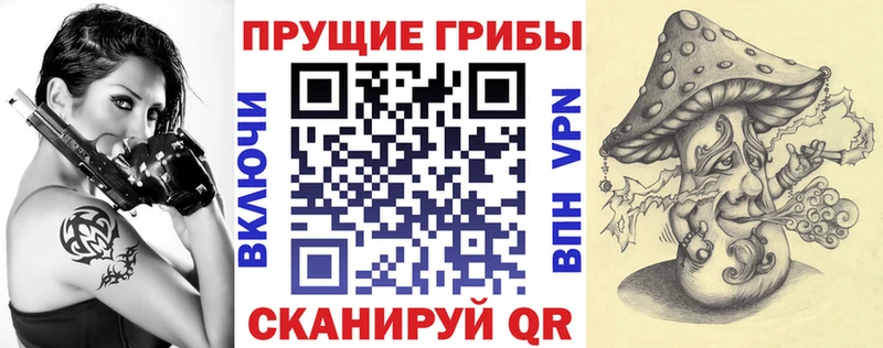 Псилоцибиновые грибы Magic Shrooms  купить наркотик  Калининец 