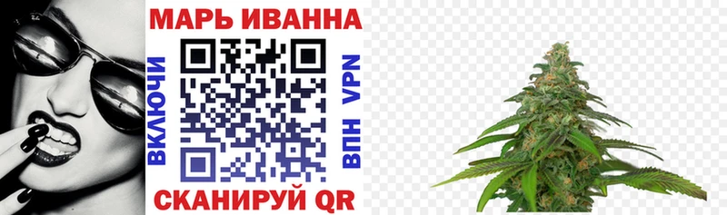 Шишки марихуана сатива Калининец